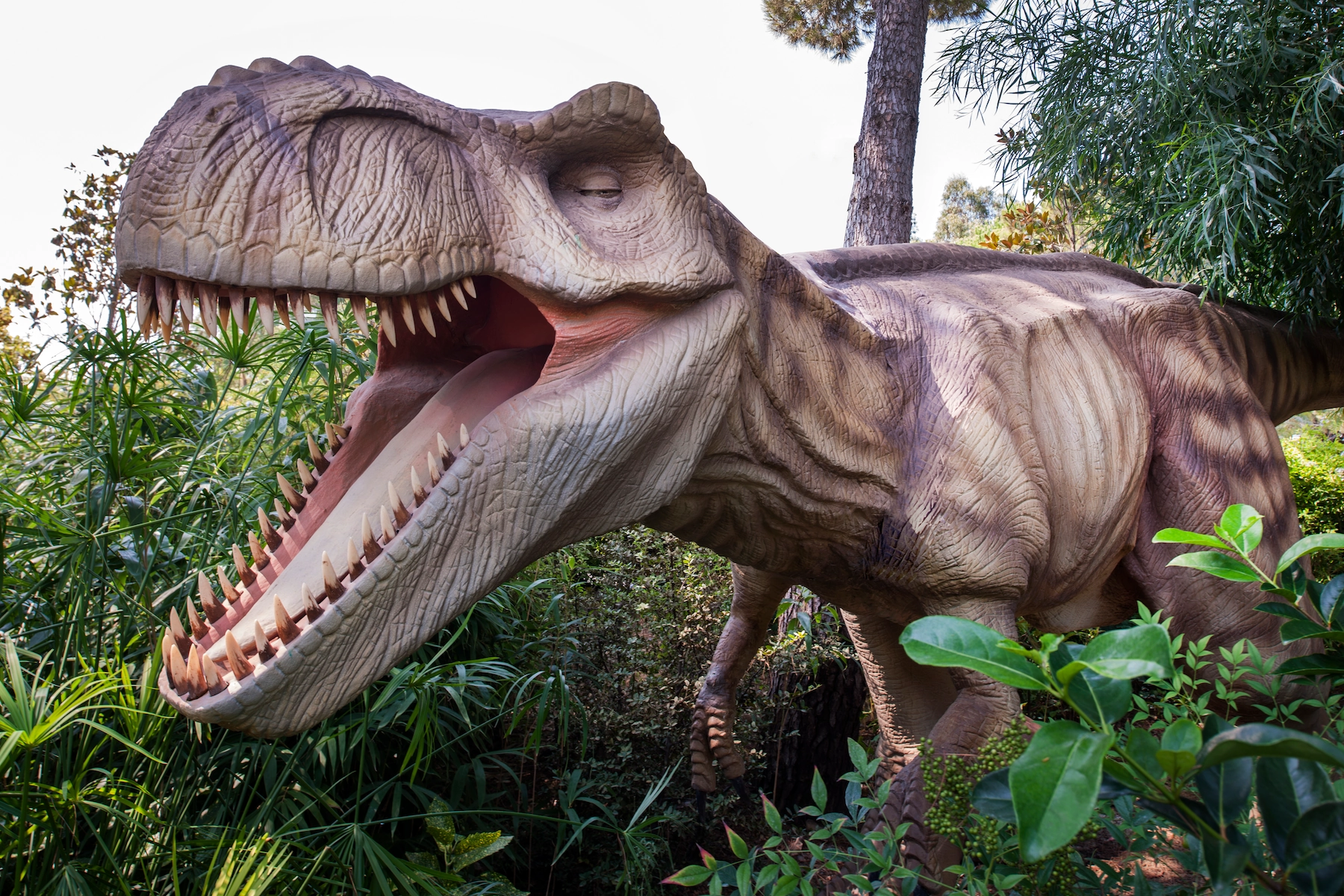 Maxx Royal Belek Golf Resort