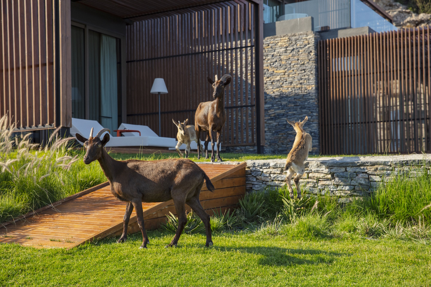 Maxx Royal Kemer Resort