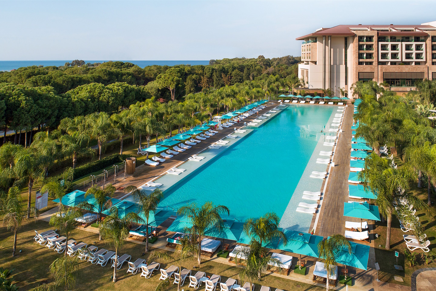 Regnum Carya